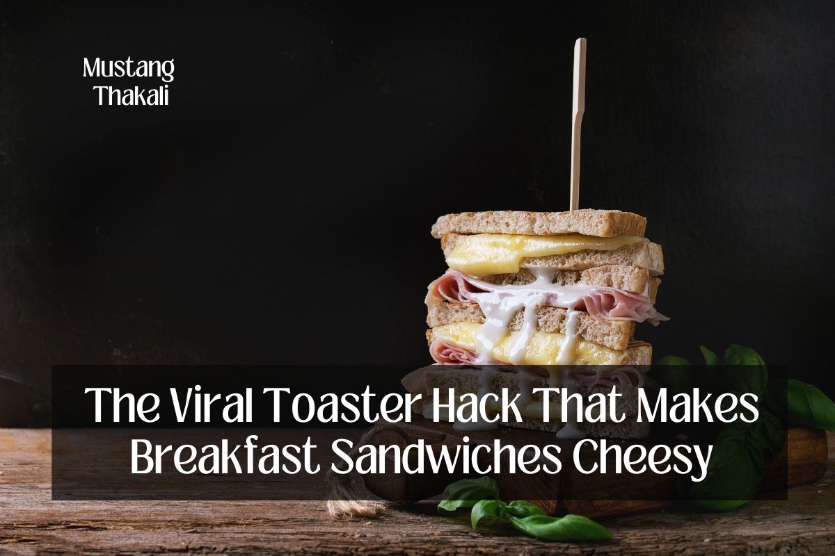 Make a Perfect Breakfast Sandwich With This Viral Device – LifeSavvy