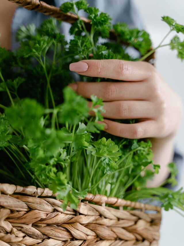 Efficient Parsley, Cilantro, and Tabbouleh Machine