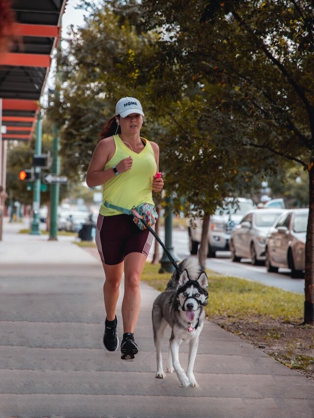 Best Dog Breeds For Runners