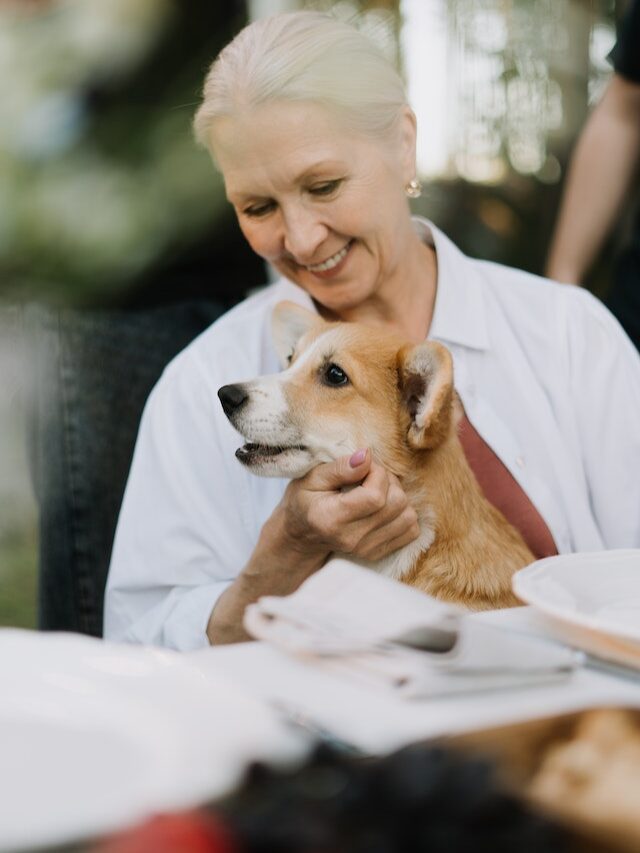 The 10 Oldest Dogs Ever On Record